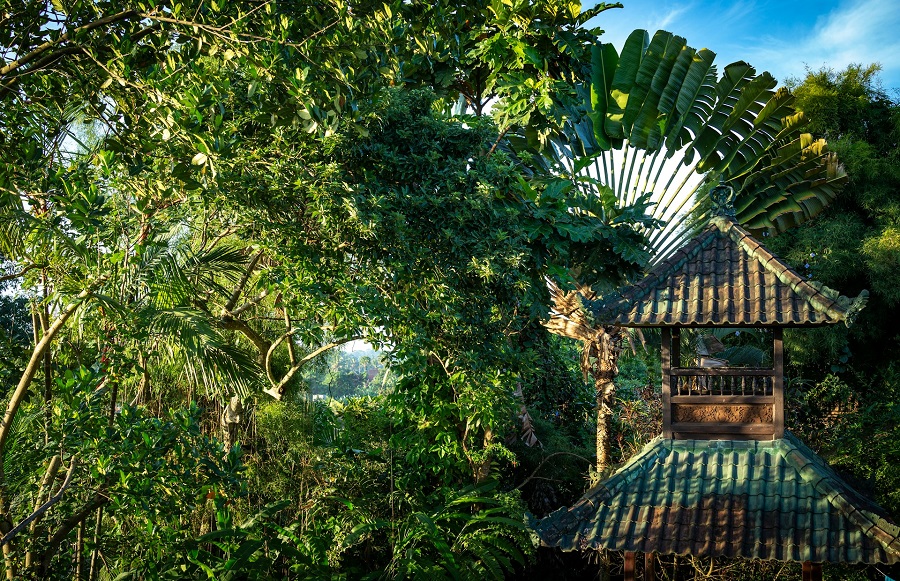 Индонезия: Бали, Убуд