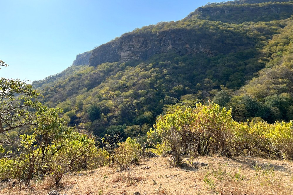 Оман: вид с плато