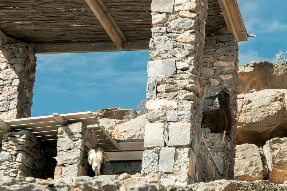 Оман: Джебель Шамс