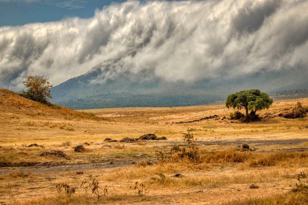 Танзания: Нгоронгоро