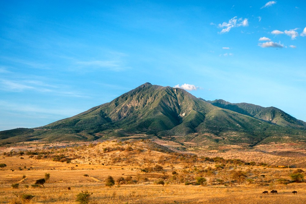 Групповой сафари-тур в Танзанию