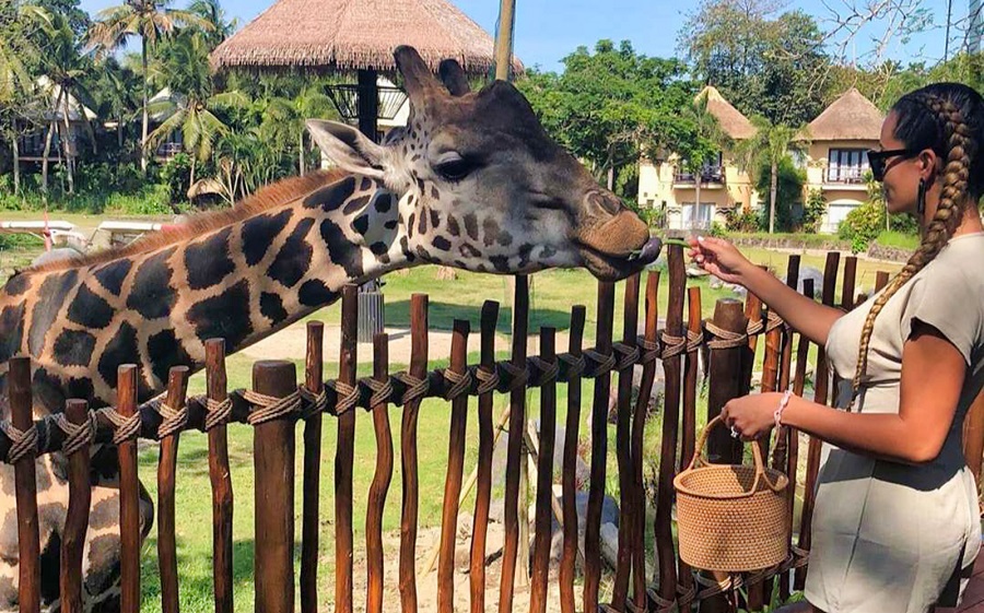 Индонезия: Бали