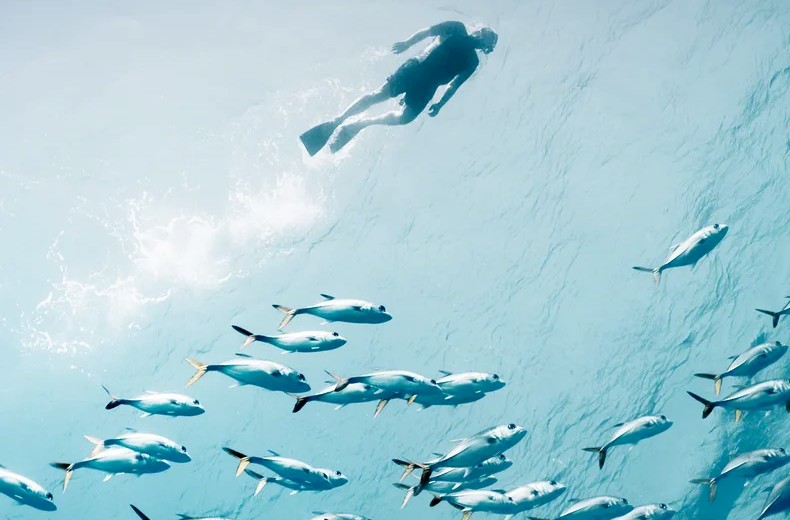 Турция: Six Senses Kaplankaya, развлечения