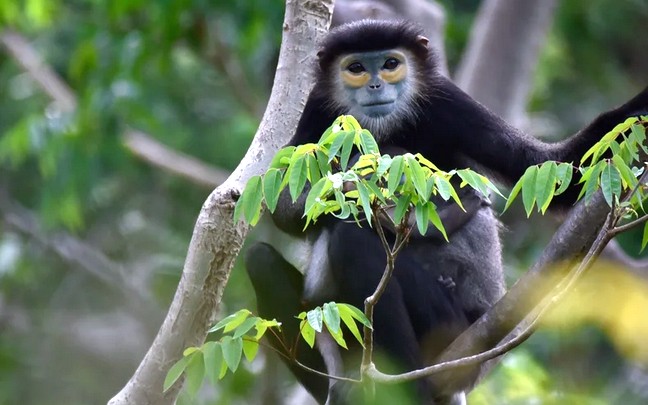 Вьетнам: Six Senses Ninh Van Bay 5*