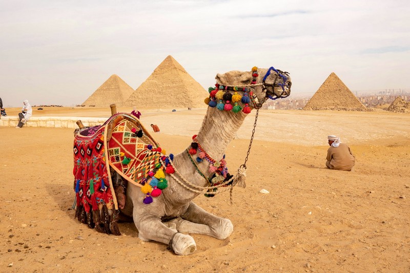 Египет: Каир