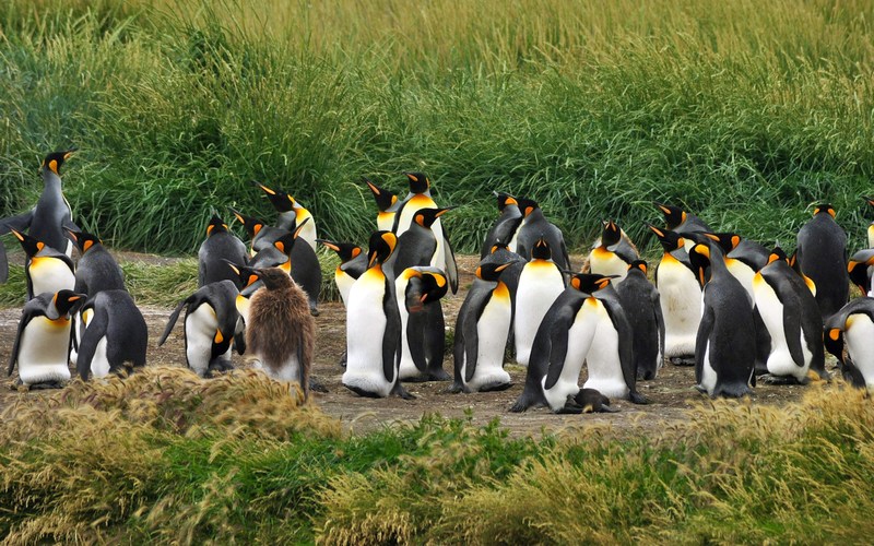 Аргентина: Огненная земля