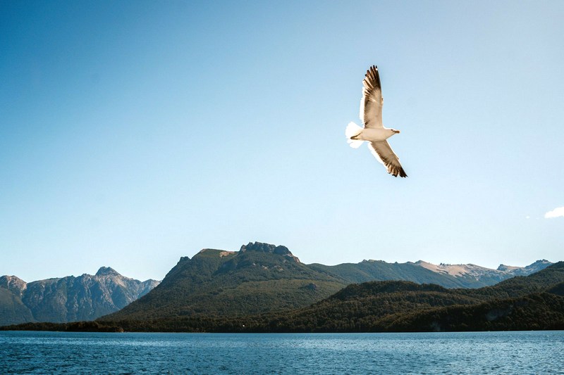 Аргентина: озера