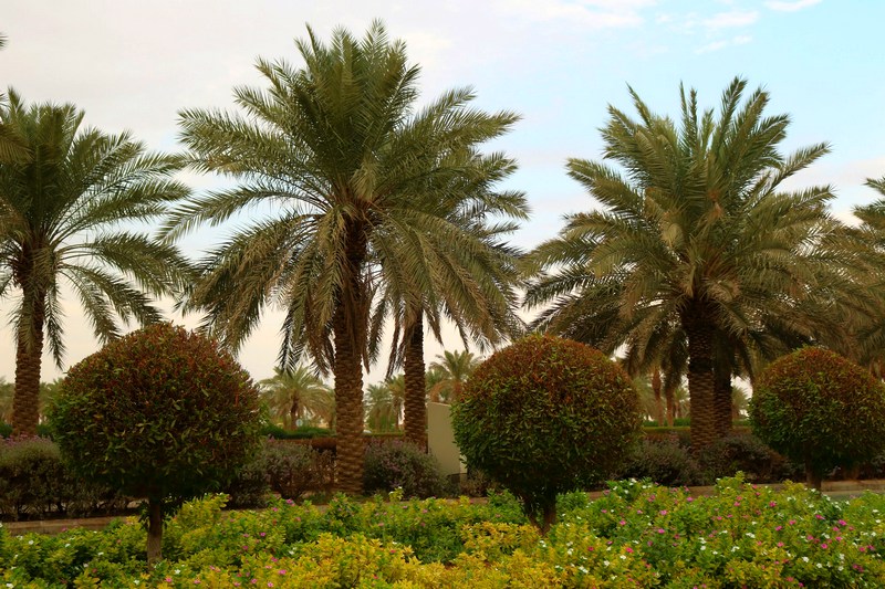 Саудовская Аравия: Эр-Рияд