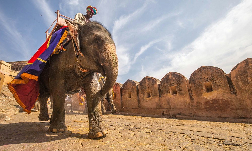 Индия: Джайпур, форт Амбер