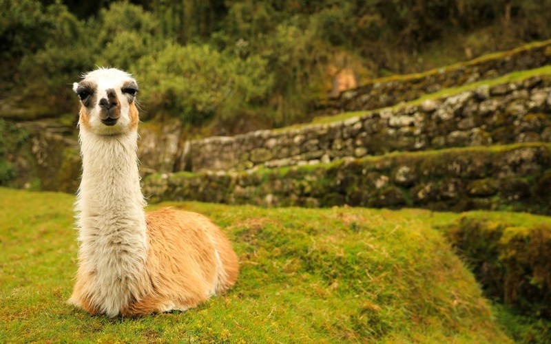 Перу: Мачу-Пикчу