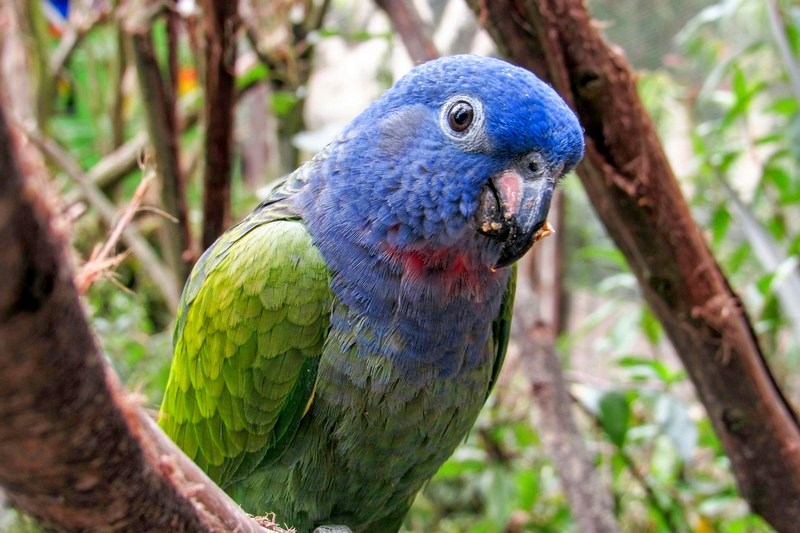 Эквадор: Куэнка