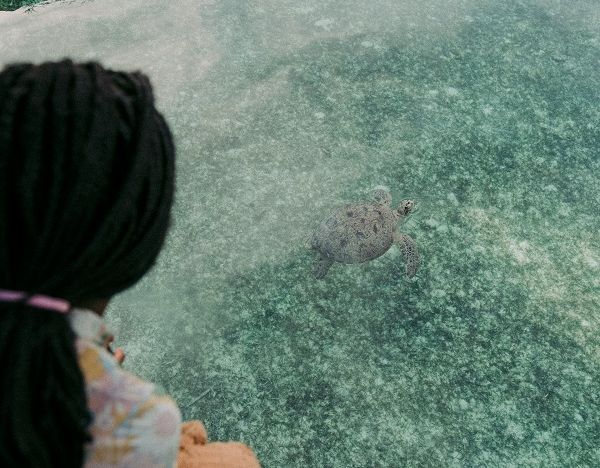 Малайзия: Кинабатанган