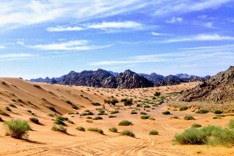 Саудовская Аравия: Хаиль