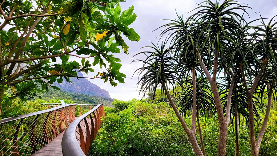 ЮАР: Кейптаун, Кирстебош