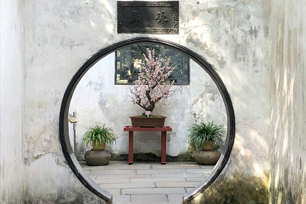 Китай: Шанхай