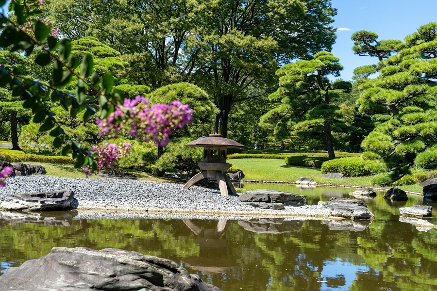 Япония: Токио