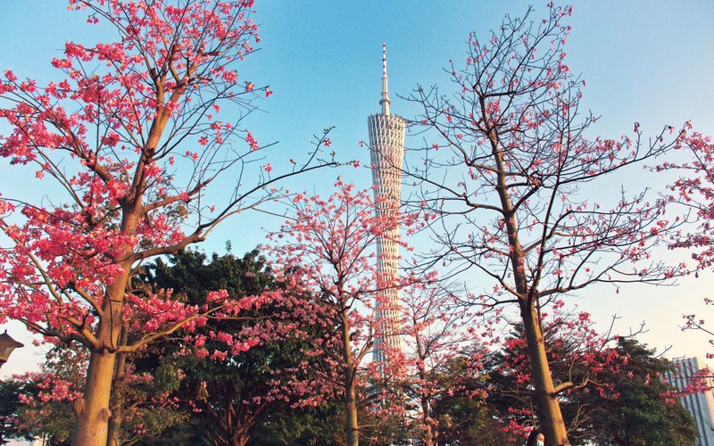 Китай: Гуанчжоу