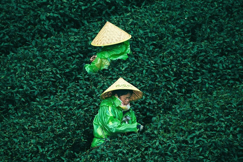 Китай: Лоншень