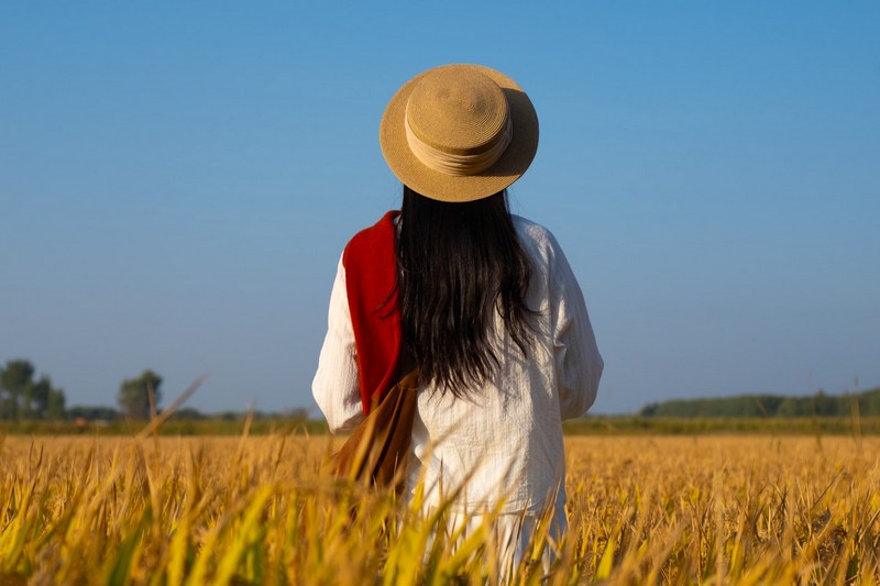 Китай: Лоншень