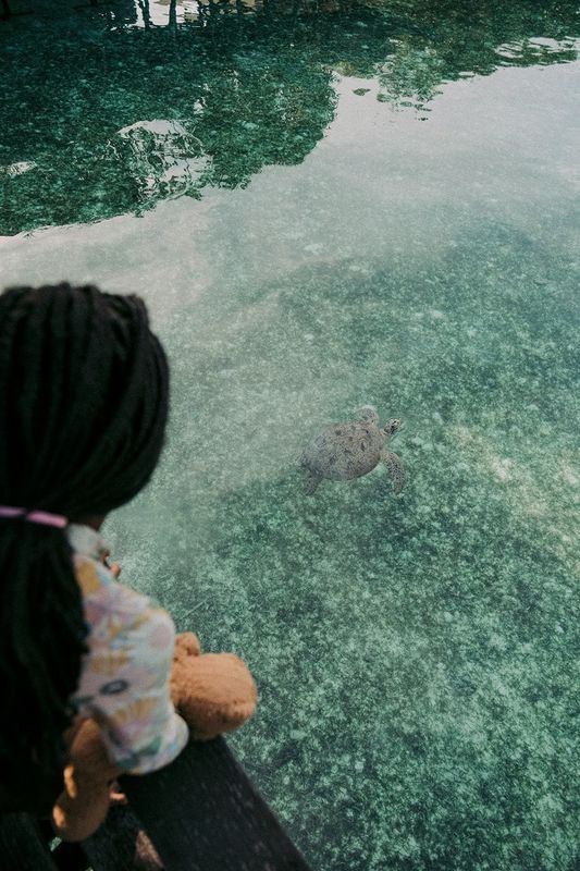 Малайзия: Кинабатанган