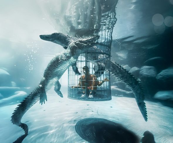 ЮАР: Кейптаун, погружение в клетке