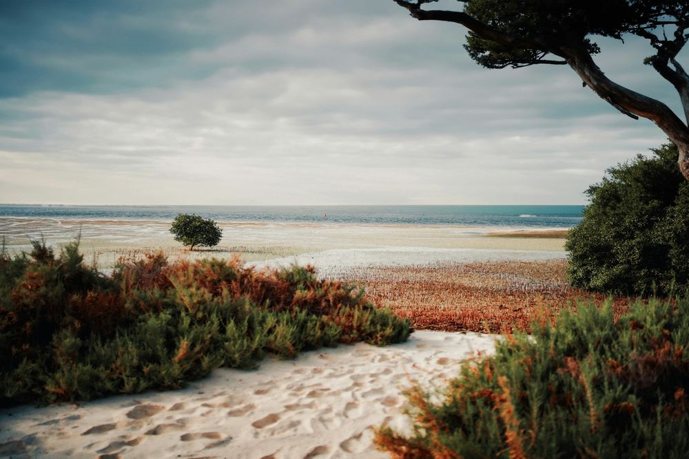 ОАЭ: Абу-Даби