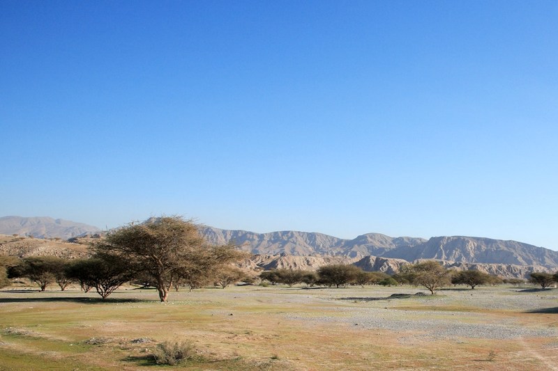 ОАЭ: Рас-эль-Хайма