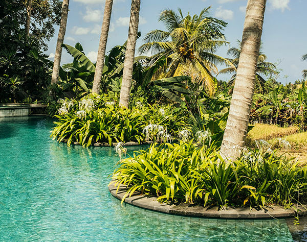 Индонезия: Бали