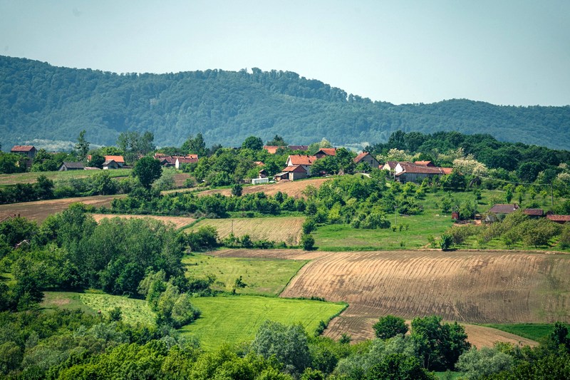 Сербия: Топола