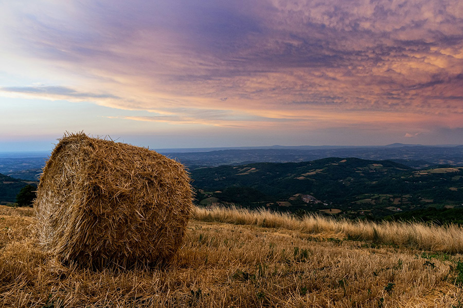 Природа Сербии