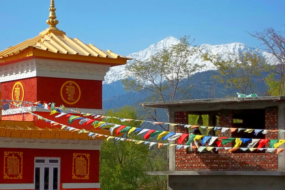 Индия: Дхарамсала