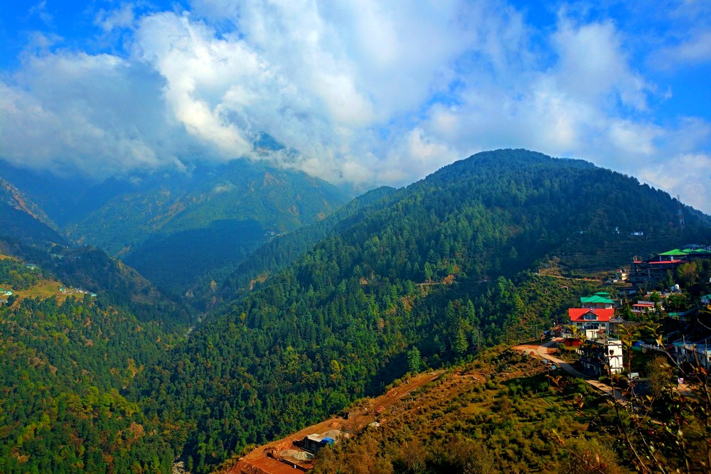 Индия: Дхарамсала