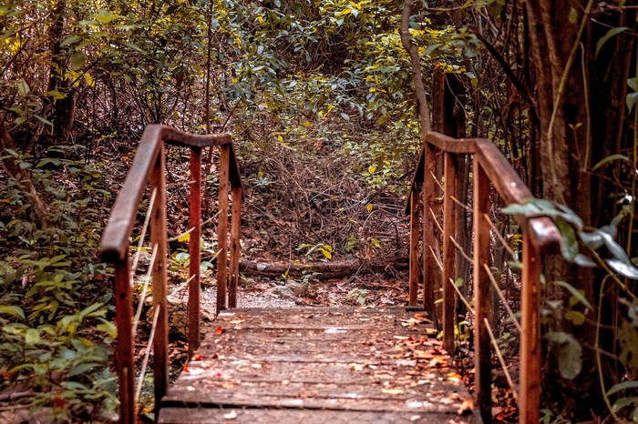 Бразилия: Бонито