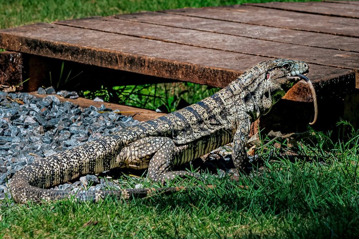 Бразилия: Бонито