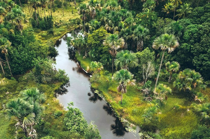 Бразилия: река Прегисас