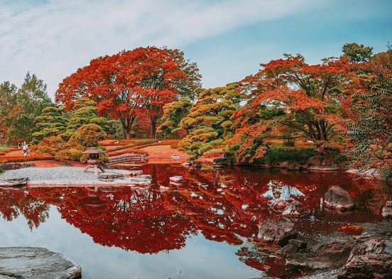 Япония: Токио