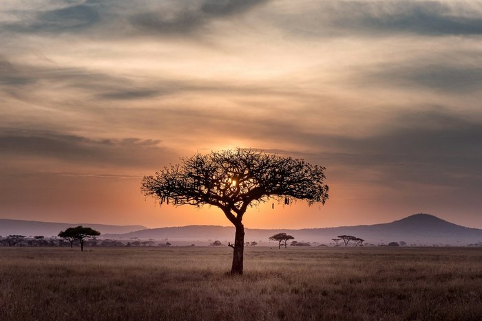 Танзания: Серенгети