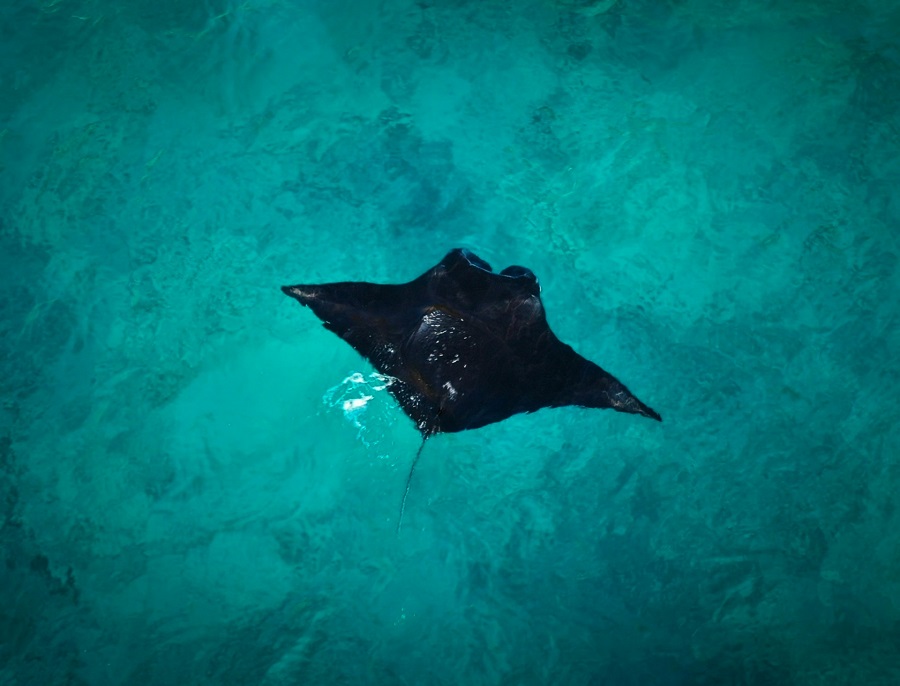 Индонезия: Бали