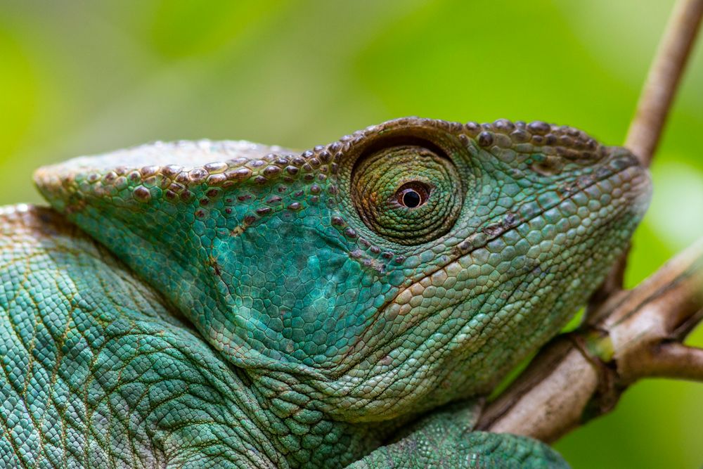 Мадагаскар: Антананариву