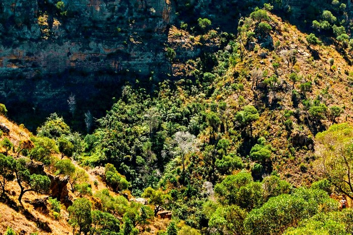 Мадагаскар: Ранумафана