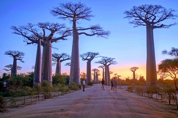 Мадагаскар: Ранохира, Национальный парк Исалу