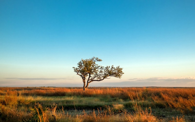 Мадагаскар: пейзажи