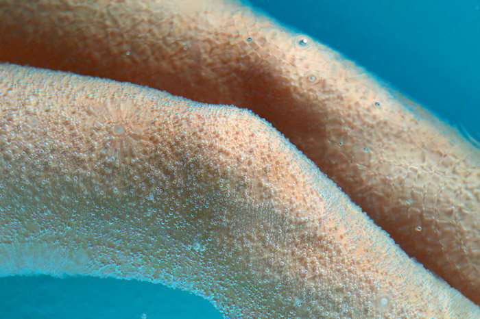 Ванна с магнием