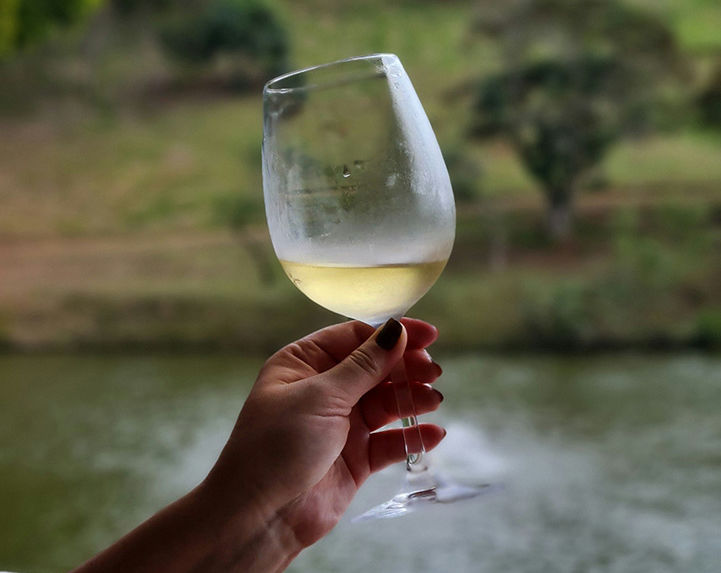 ЮАР: Винные долины