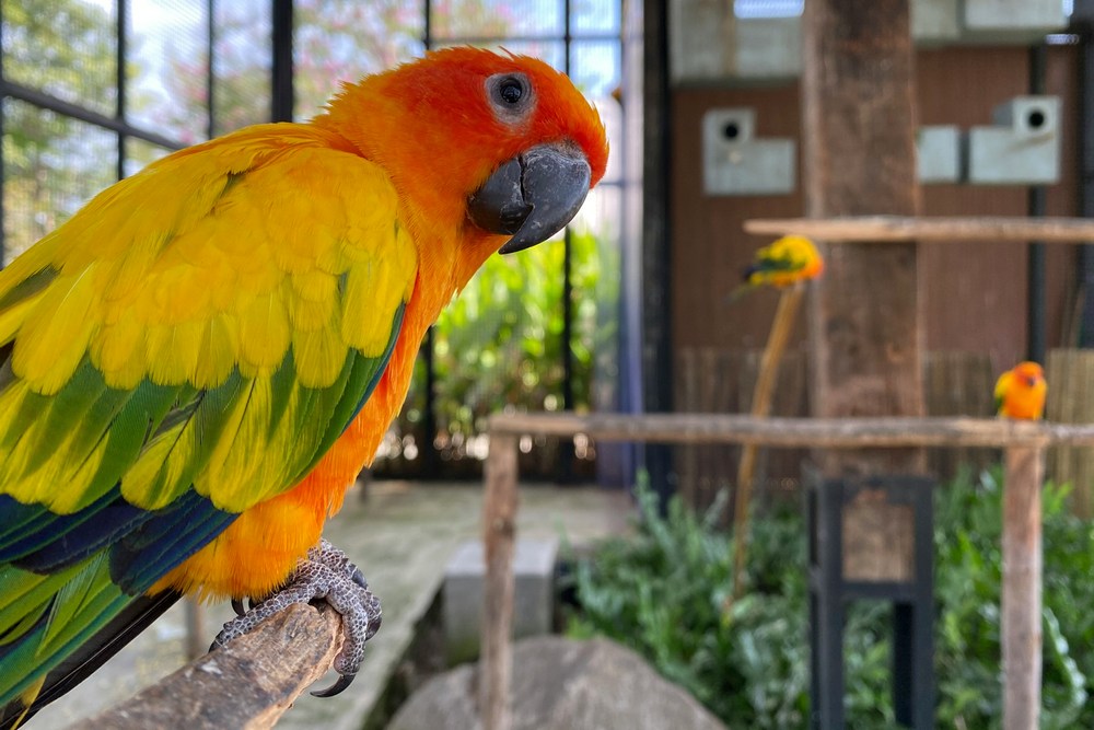 Таиланд: Пхукет