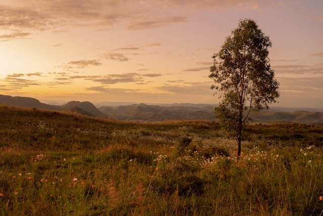 Мадагаскар: пейзаж