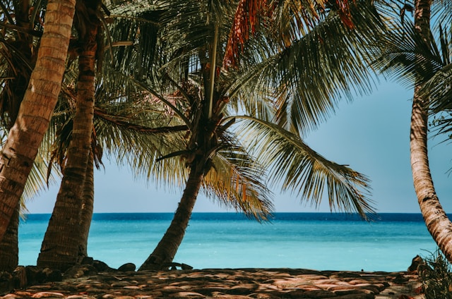 Мадагаскар: остров Нуси-Бе