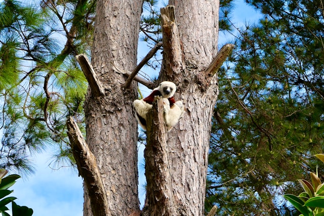 Мадагаскар: Антананариву