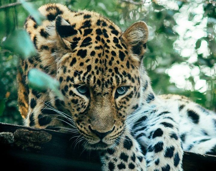 Танзания: Тарангире