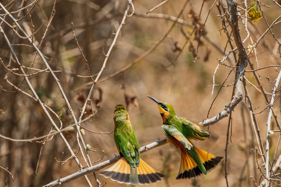 Танзания: озеро Маньяра